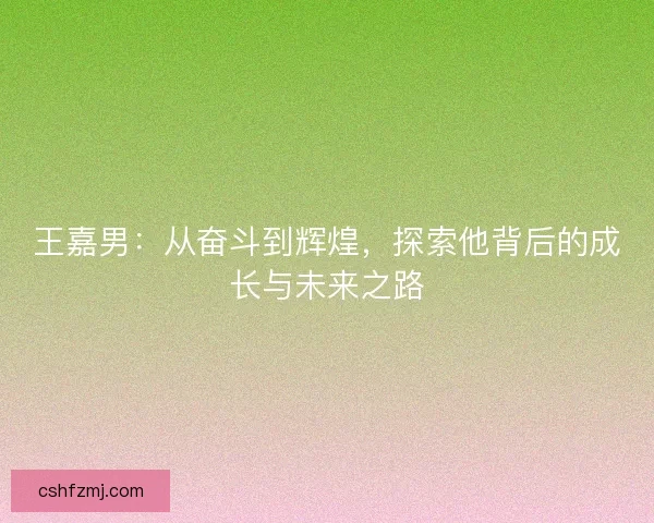 王嘉男:从奋斗到辉煌,探索他背后的成长与未来之路 王嘉男:从奋斗到辉煌,探索他背后的成长与未来之路
