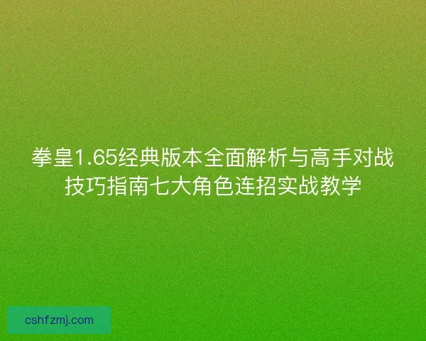 拳皇1.65经典版本全面解析与高手对战技巧指南七大角色连招实战教学